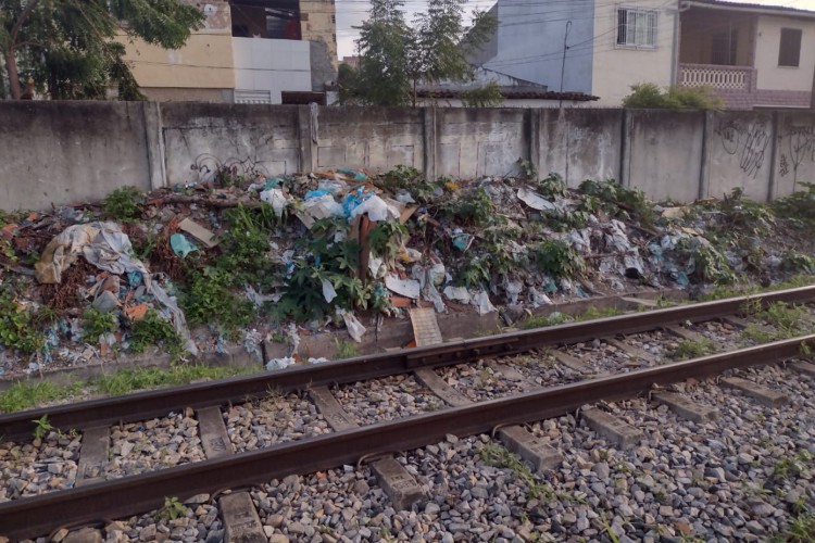 Terreno localizado na avenida Tenente Lisboa com a rua João Ribeiro, no bairro Álvaro Weyne, tem descarte irregular de lixo e abandono de animais 