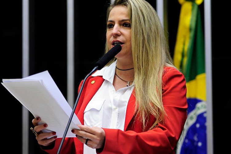 Luizianne Lins é deputada federal pelo PT do Ceará