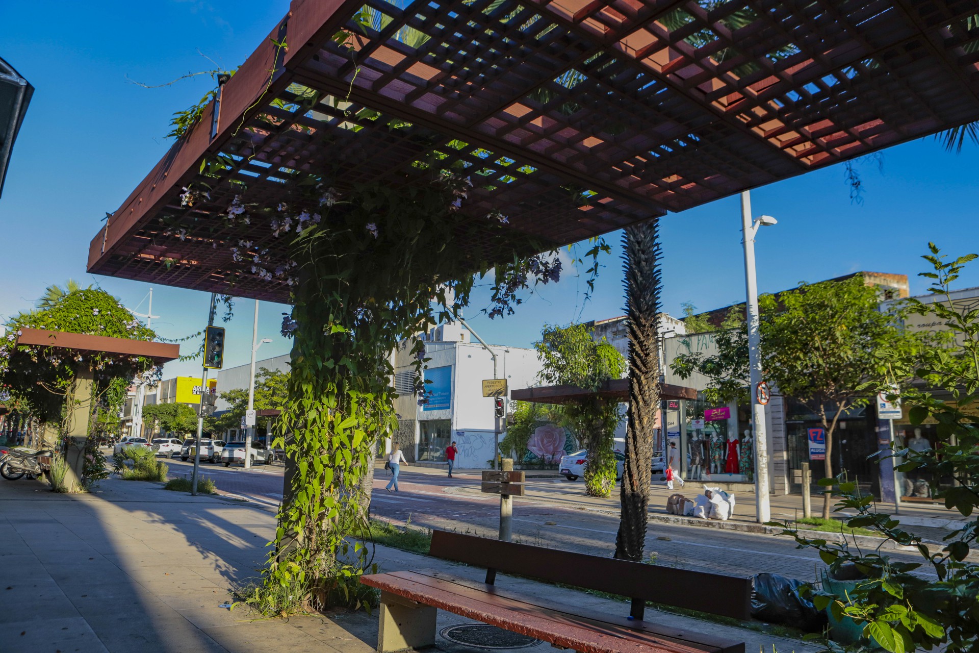 ￼AVENIDA é importante polo comercial, mas tem perdido protagonismo (Foto: FCO FONTENELE)