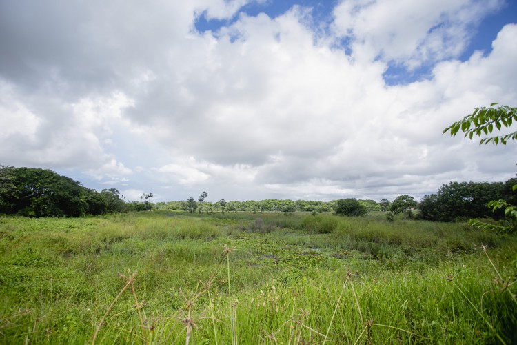 ￼ÁREA do Parque
da Sabiaguaba
terá novo plano
de manejo