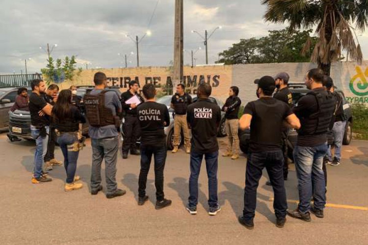 29 policiais civis cumpriram 19 mandados judiciais durante a Operação Aurantium, em Juazeiro do Norte e Tianguá