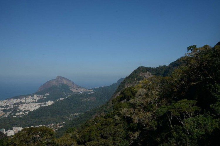 Rio de Janeiro - O morro Dois Irmãos visto do Parque Nacional da Tijuca, durante mutirão de plantio de mudas de espécies nativas na nascente do Rio Carioca (Fernando Frazão/Agência Brasil)