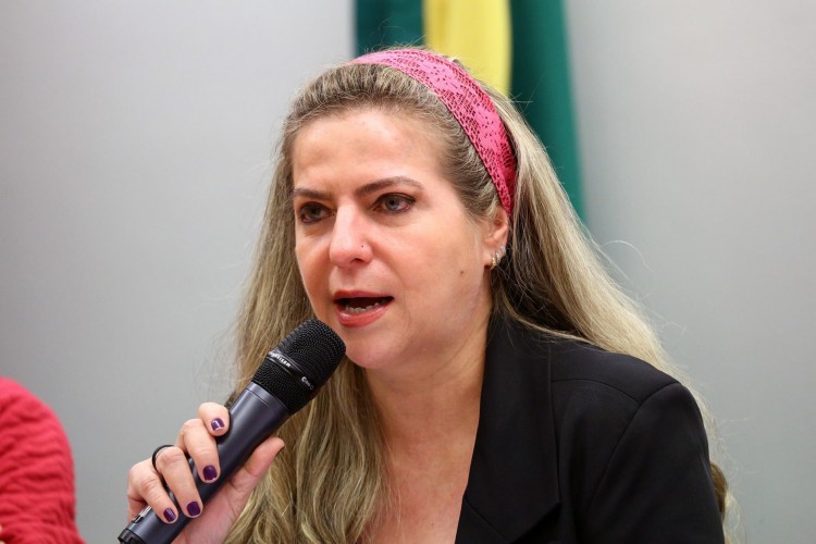 ￼LUIZIANNE LINS, deputada federal