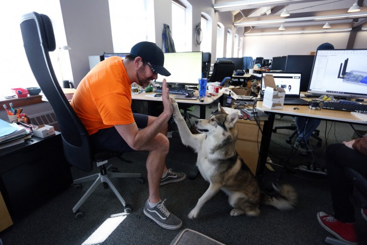 Bill Dicke, presidente da Tungsten Collaborative, dá um high five ao seu cachorro Nature em 5 de maio de 2022 em Ottawa, Canadá