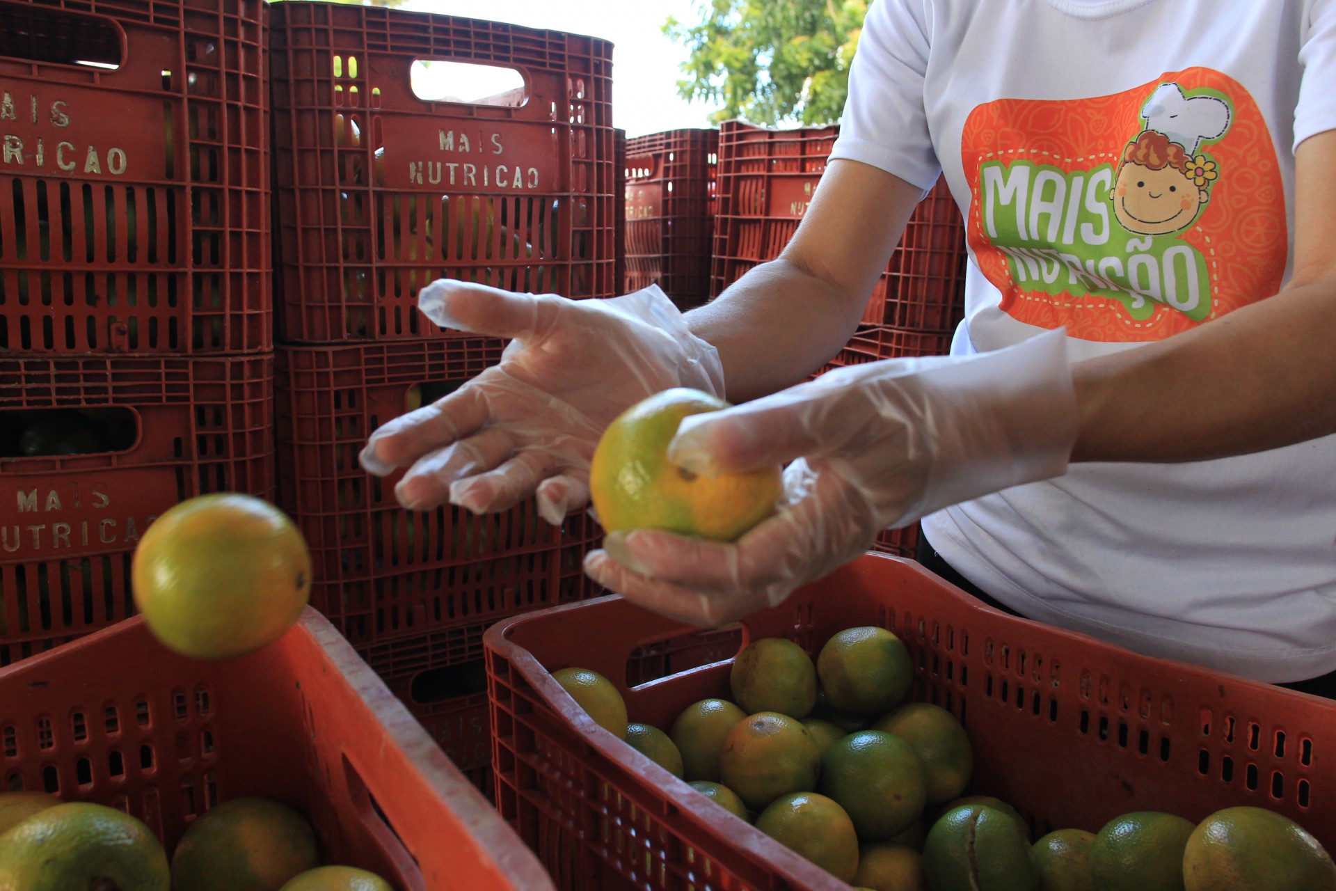 Em quase três anos, o Mais Nutrição já contemplou mais de 30 mil cearenses com doações de alimentos da Ceasa (Foto: FABIO LIMA)