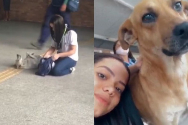 Vídeo de jovem fazendo carinho em cachorro no terminal de ônibus de Fortaleza viraliza: 