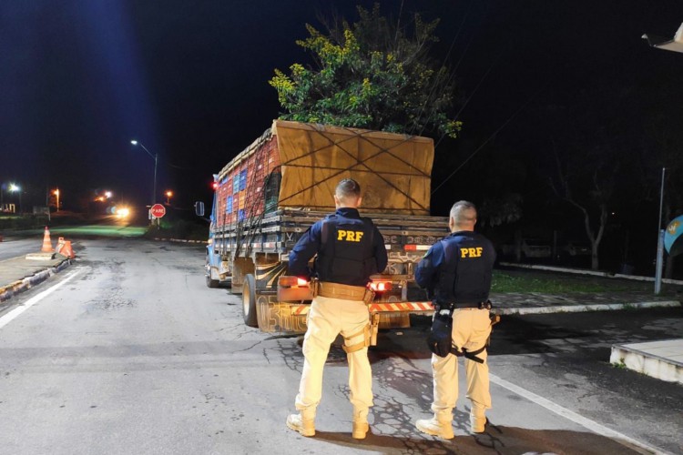 À PRF, o motorista e seu ajudante informaram que encontraram a moça em um posto de gasolina em Santa Quitéria pedindo carona até Fortaleza