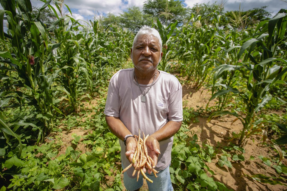 Senhor Chico Frásio mostra suas plantações(Foto: Aurelio Alves)