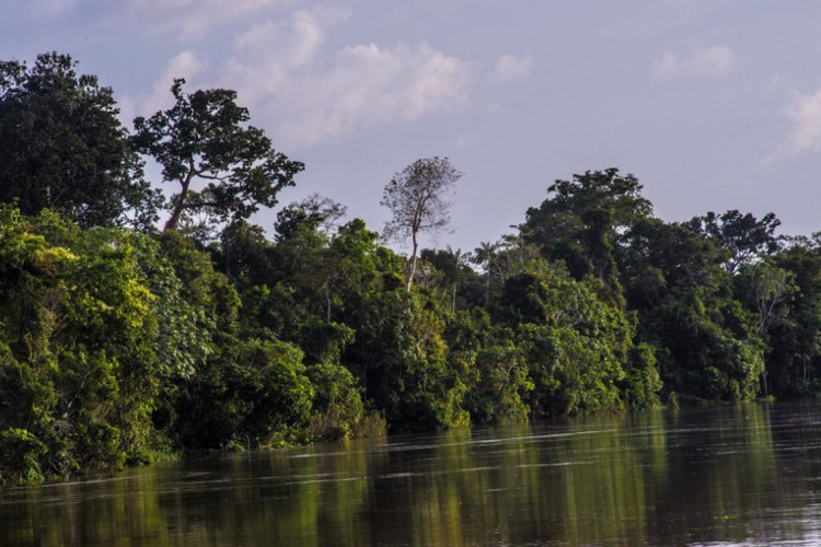 Amazônia