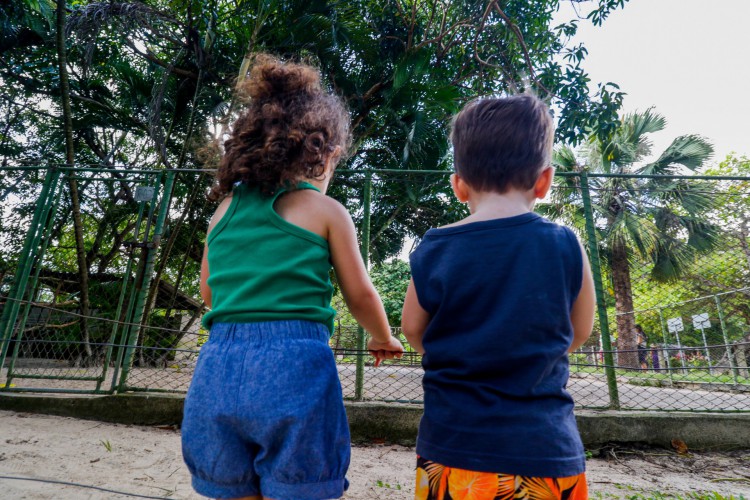 Parque Ecológico do Passaré é uma das opções da cidade para levar crianças e curtir a natureza
