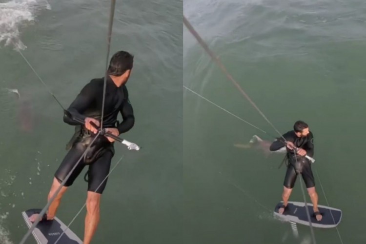 Kitesurfista foi perseguido por tubarão em alto mar; assista ao vídeo