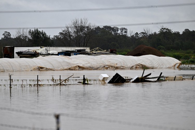 Uma fazenda de vegetais inundada do rio Nepean transbordante é vista após torrenti