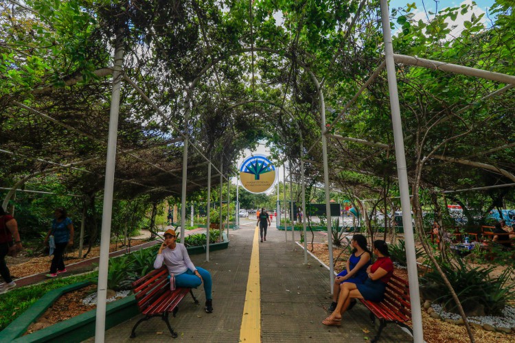 Parque Botânico do Ceará, em Caucaia, comemora 25 anos recebendo novos equipamentos