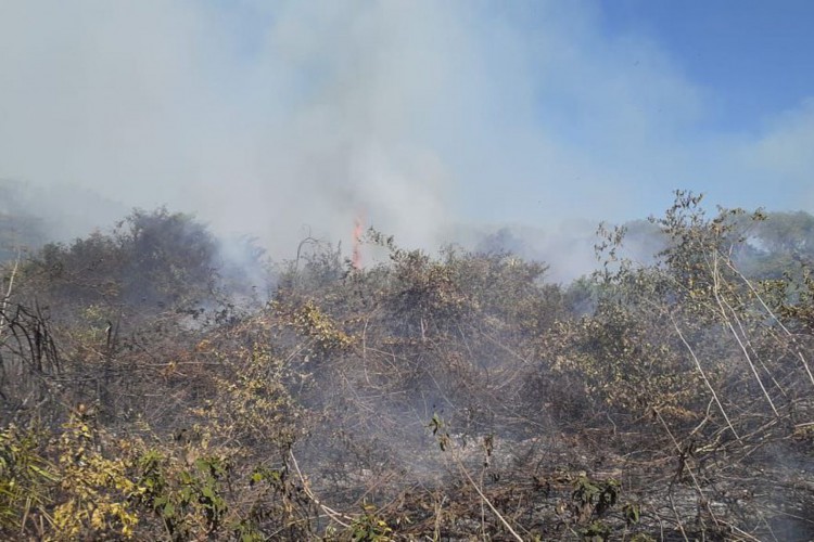 Incêndios no Pantanal motivam estado de emergência em 14 cidades no MS