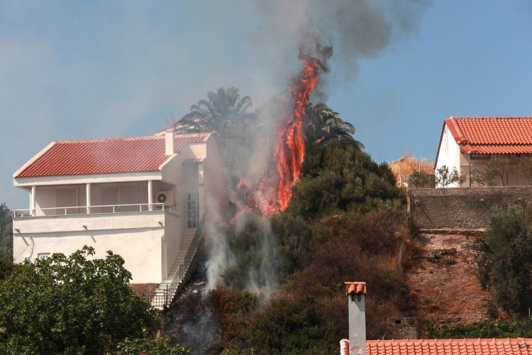 Foto tirada em 23 de julho de 2022 mostra árvores queimando perto de casas no resort costeiro de Vatera, na ilha oriental de Lesbos. Os moradores foram evacuados porque o fogo ameaçou propriedades