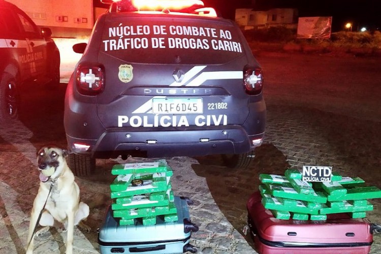 Droga foi encontrada com auxílio de um cão farejador. Ilícito estava no bagageiro do ônibus