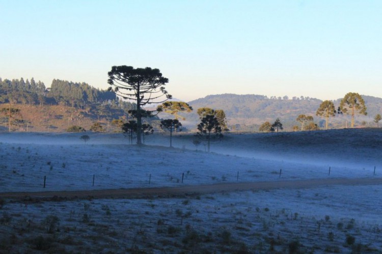 O amamancer de 28 de abril em Urupema foi  com os campos coberto de geada e os termômetros regitrando -5,4º C