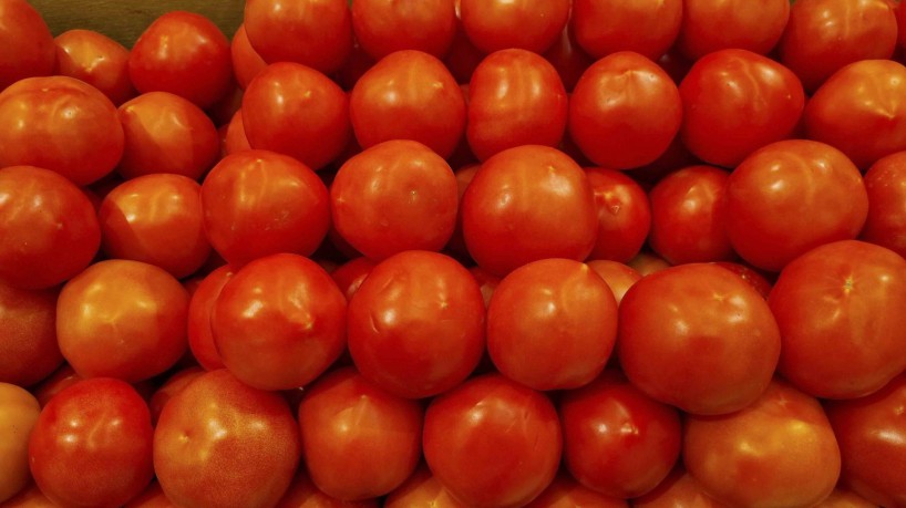 TOMATE foi o produto que apresentou a maior alta do semestre, de 53,53% 