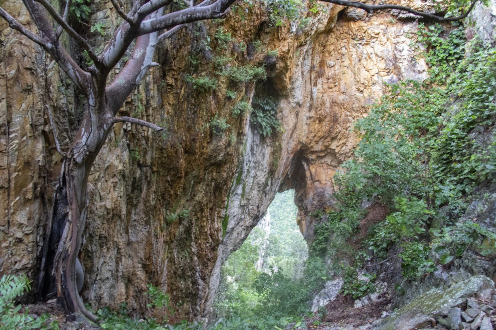 Criado há 15 anos, O Parque Estadual das Carnaúbas ainda não tem sede fixa na própria unidade de conservação. No detalhe, o "vão de pedra", em Granja, no Ceará. Foto: Thieres Pinto(Foto: Thieres Pinto)