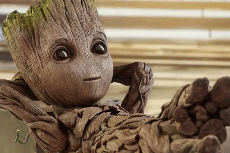 Disney  adiciona 'Eu Sou Groot', que acompanha o famoso personagem de 'Guardiões da Galáxia'