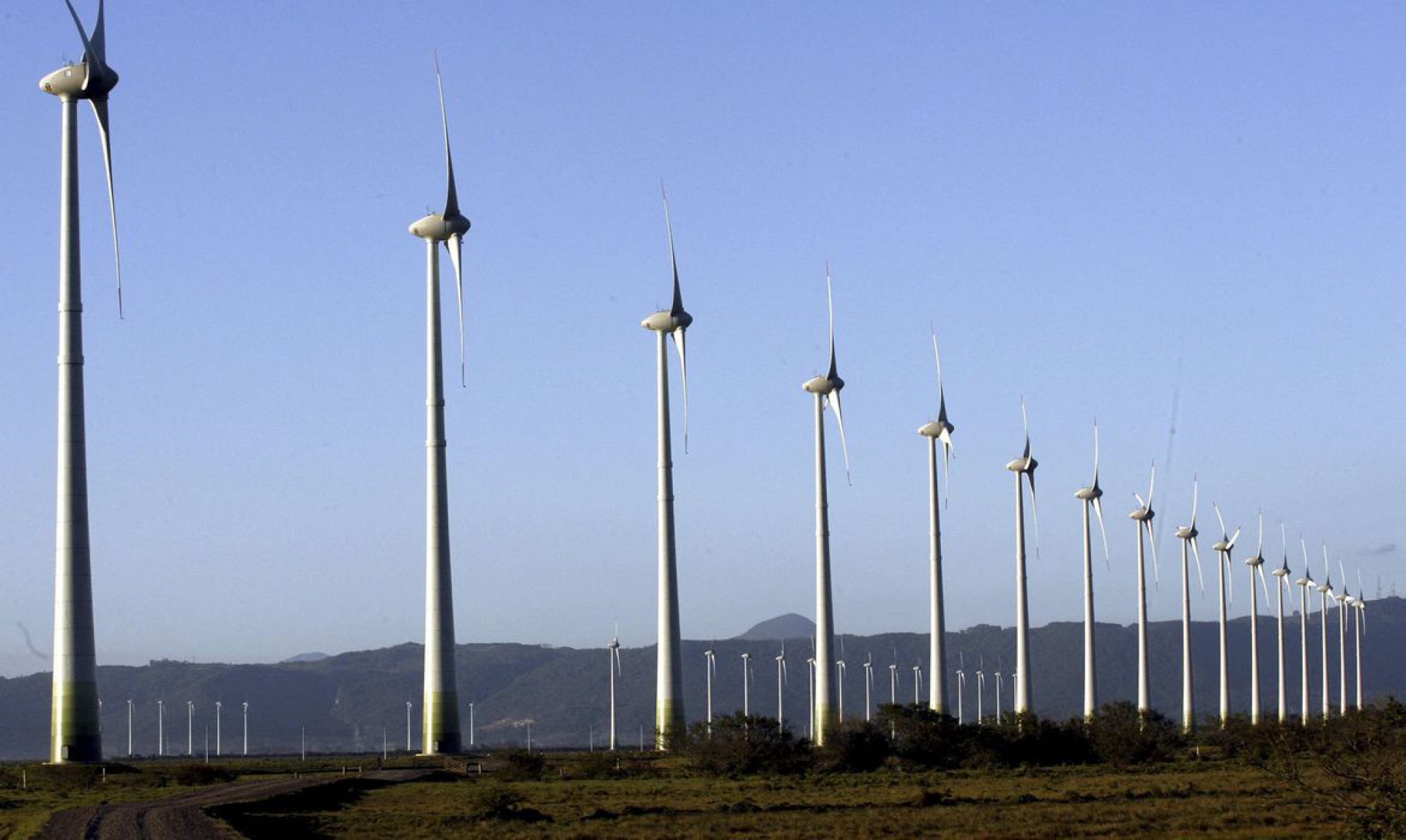 Fontes renováveis na matriz energética deve aumentar em 2022, diz MME (Foto: )