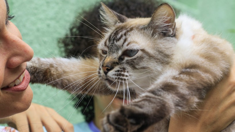 FORTALEZA, CE, BRASIL, 24.08.2022: Rotina com animais de estimação. Cami chegou na pandemia e foi um momento de felicidade no meio da situação dificil. (Foto: Thais Mesquita/OPOVO)