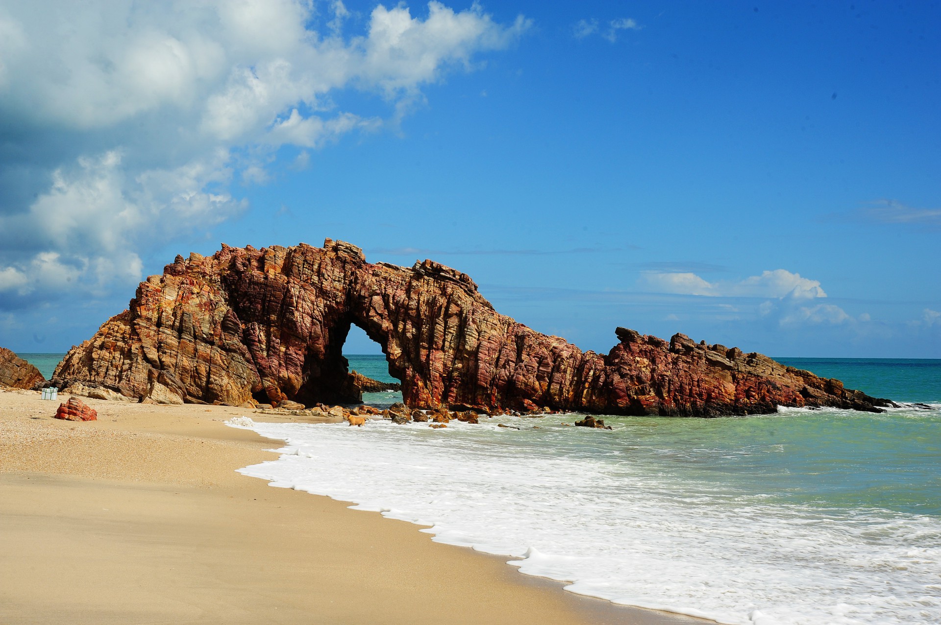 Parque Nacional de Jericoacoara foi leiloado por R$ 61 milhões (Foto: Divulgação)