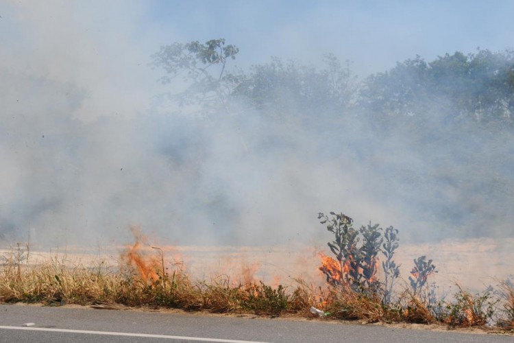 As ocorrências de incêndios em vegetação são principalmente nas adjacências da região do Crajubar