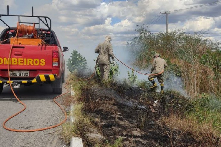 ￼ BOMBEIROS combatem queimada em terreno ao lado de rodovia no Ceará 