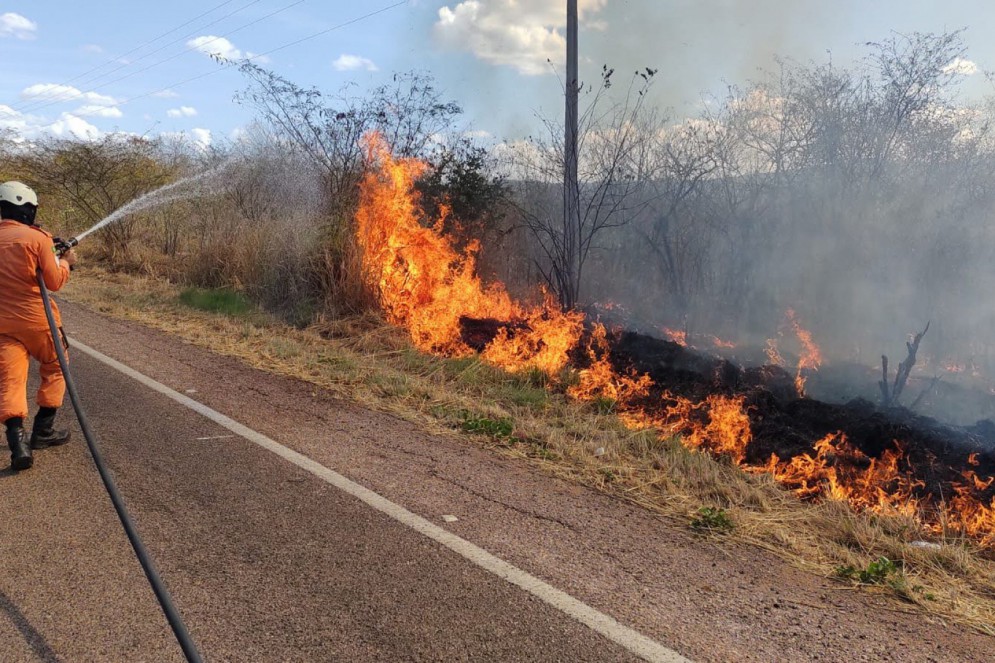 Incêndio em beira de estrada de rodovia no Cearã(Foto: Divulgação/ CBMCE)