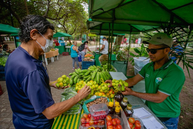 Feira agroecológica no Parque Adahil Barreto, era quinzenal e passa a ser semana. 