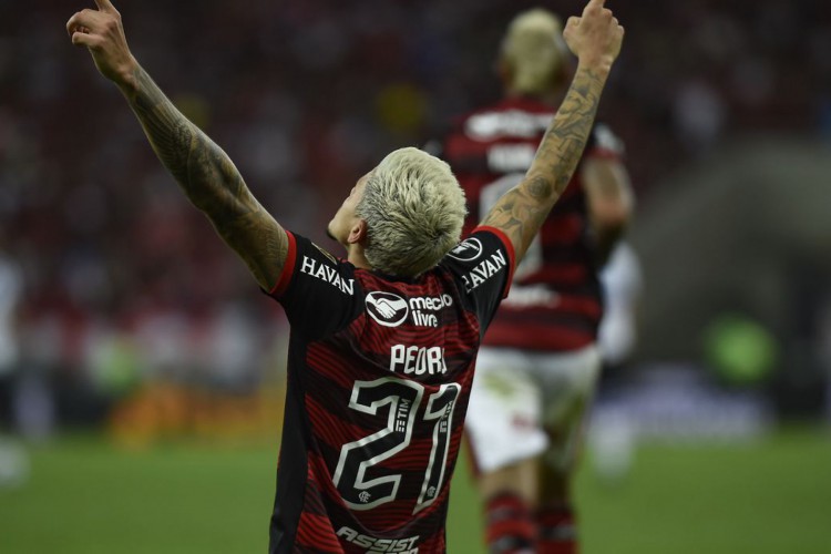 Foto: Marcelo Cortes / Flamengo