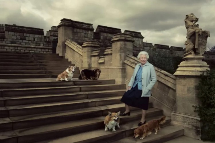 O primeiro animal da raça que Elizabeth II teve  foi Susan, em 1944, a monarca recebeu a cadela de seus pais por conta do aniversário de 18 anos, ainda quando era apenas princesa.