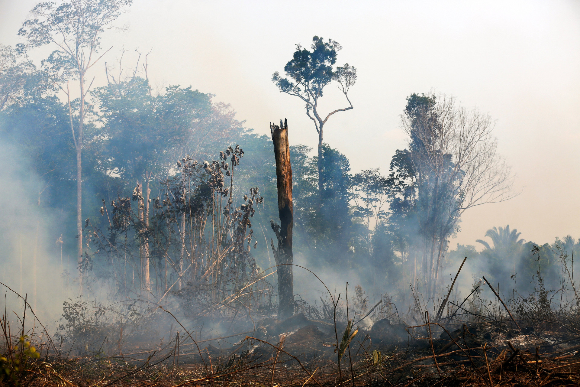 Vista aérea de uma área de queima em Lábrea, sul do Estado do Amazonas, Brasil, em 17 de setembro de 2022. De acordo com o Instituto Nacional de Pesquisas Espaciais (INPE), os focos de calor na região amazônica tiveram um aumento recorde na primeira quinzena de setembro, sendo a média do mês 1.400 incêndios por dia.
 (Foto: MICHAEL DANTAS / AFP)