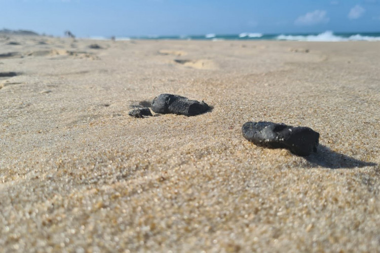 Fragmentos de óleo encontrados na areia da Praia do Futuro, em Fortaleza