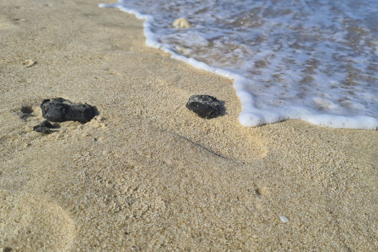 Manchas de óleo voltam a aperecer nas areias do Ceará