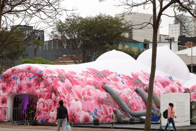 Coletivo Pink em São Paulo