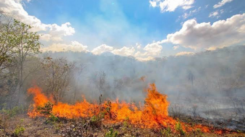 ￼POR CAUSA DO clima seco, incêndios são comuns na região do Cariri