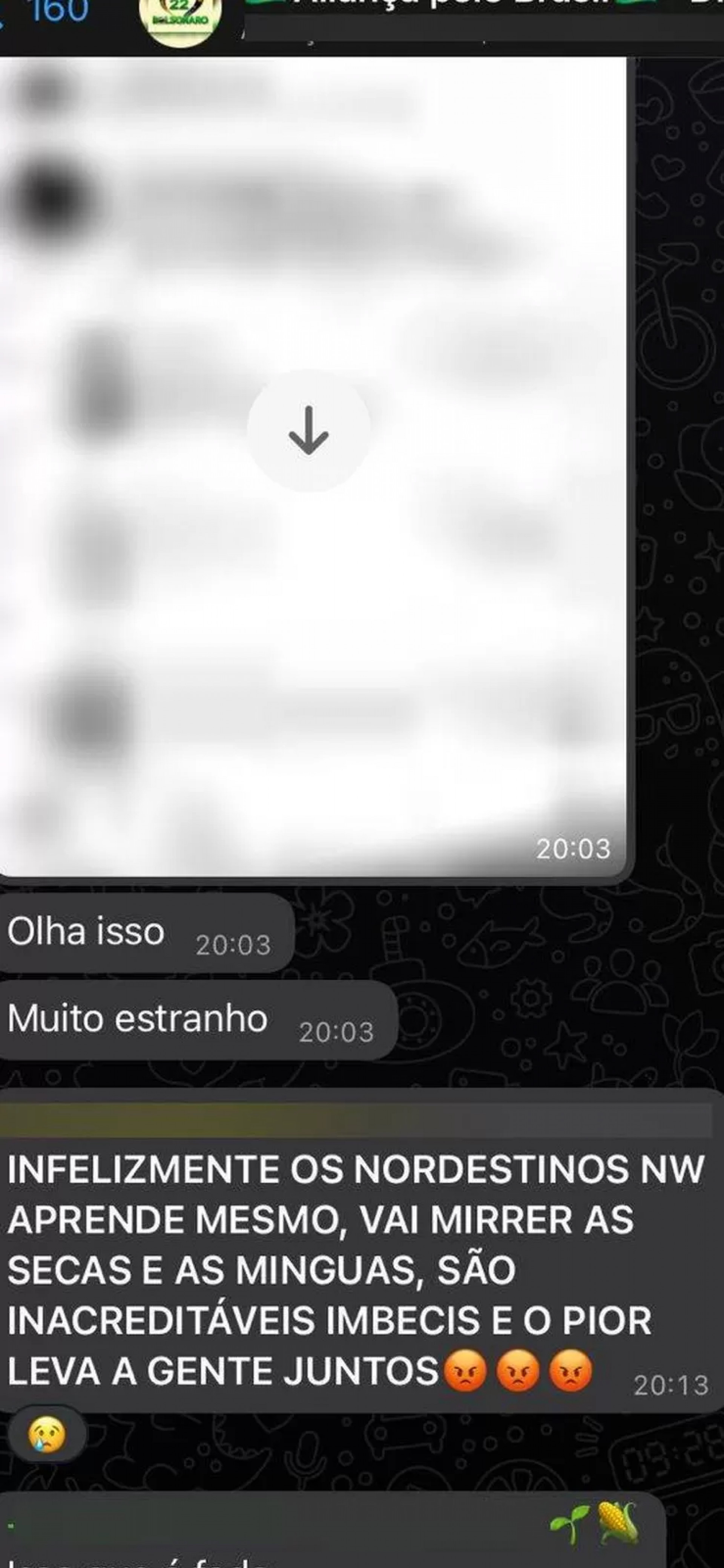 Grupos de Whatsapp bolsonaristas emitem ofensas ao Nordeste e aos nordestinos.