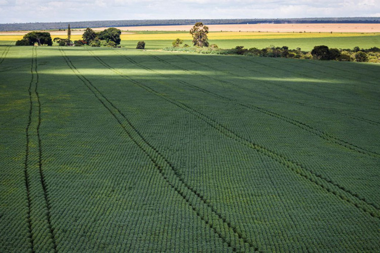 Produção de grãos deve chegar a 312,4 milhões de toneladas em 2023