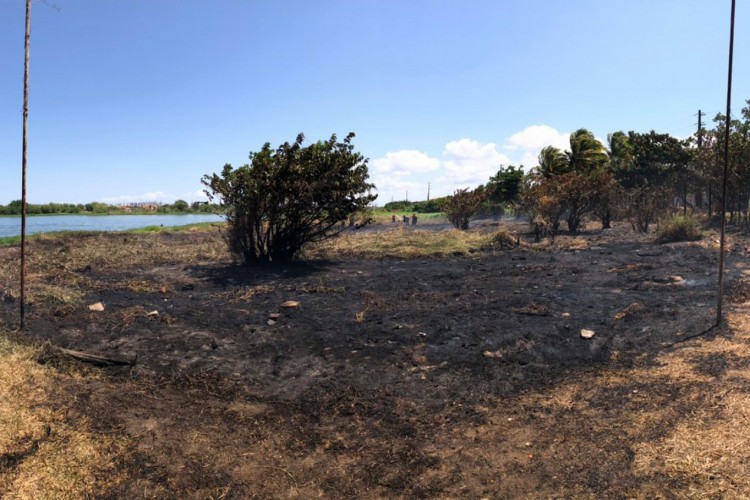 Incêndio no Parque do Cocó foi controlado por volta das 11h50 desta quarta-feira, 12 de outubro, quando teve início o rescaldo