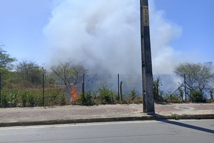 Incêndio registrado em vegetação próximo à avenida Alberto Craveiro