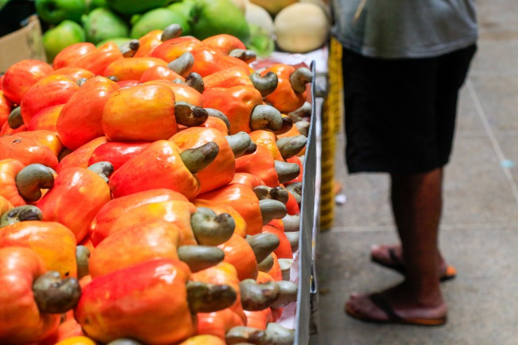 FORTALEZA, CE, BRASIL, 18.10.2022: Os pedúnculos do caju anão e comum foram as frutas que mais estiveram presentes na safra cearense (Foto: Thais Mesquita/OPOVO)