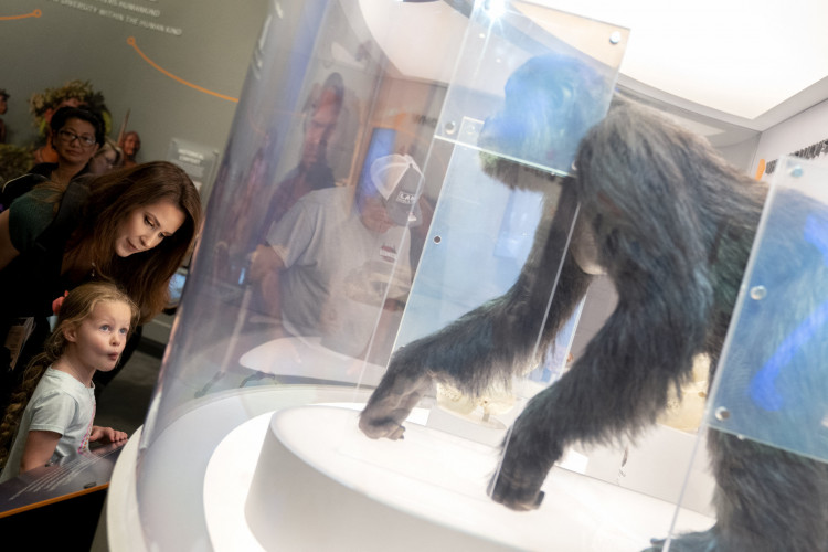 Suzanne Swindle, de Atlanta, e sua filha de 4 anos observam uma exposição explicando por que humanos e macacos não são parentes, no Creation Museum em Petersburg, Kentucky, em 30 de setembro de 2022. Uma figura de destaque no criacionismo nos Estados Unidos, uma enorme Arca de Noé, abrigando estátuas articuladas de ovelhas, veados e até dinossauros, atrai multidões de cristãos evangélicos com sua encenação espetacular e mensagens altamente políticas