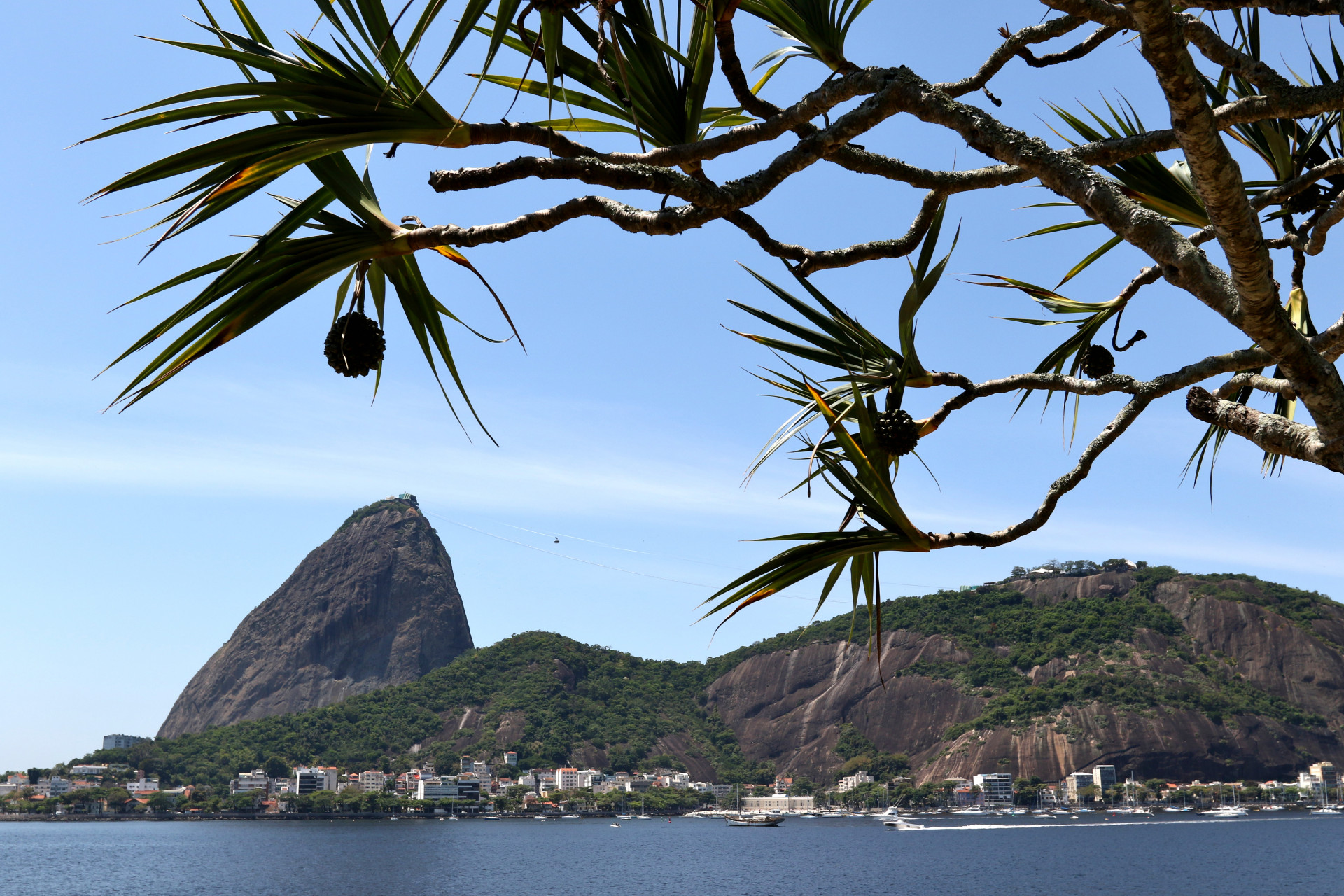 O Parque Bondinho do Pão de Açúcar completa hoje (27) 110 anos.  (Foto: Tânia Rêgo/Agência Brasil )