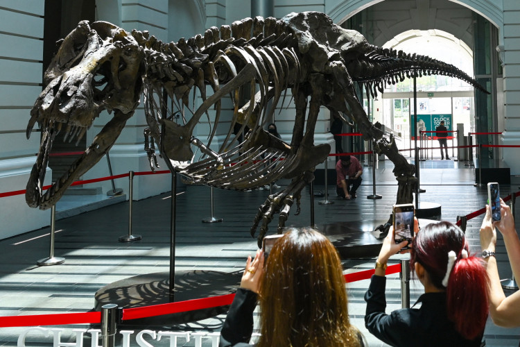 Os visitantes usam seus telefones celulares para tirar fotos do esqueleto de dinossauro de um tiranossauro rex em exibição em Cingapura em 28 de outubro de 2022. o bloco de leilão em Hong Kong em novembro