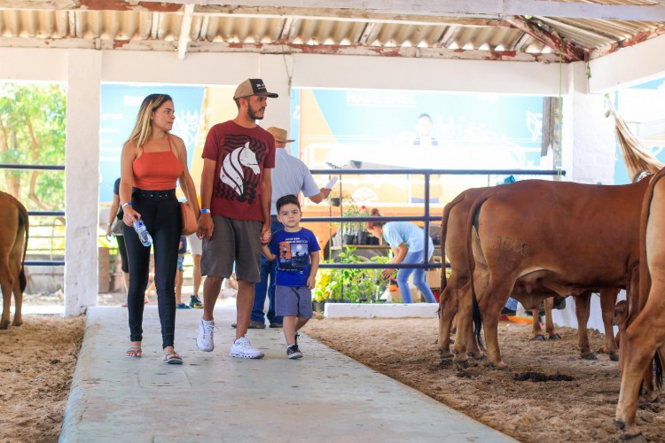 Exposição Agropecuária e Industrial do Ceará (Expoece) tem comercialização de produtos artesanais, plantas e comidas típicas, além de venda e exposição de animais