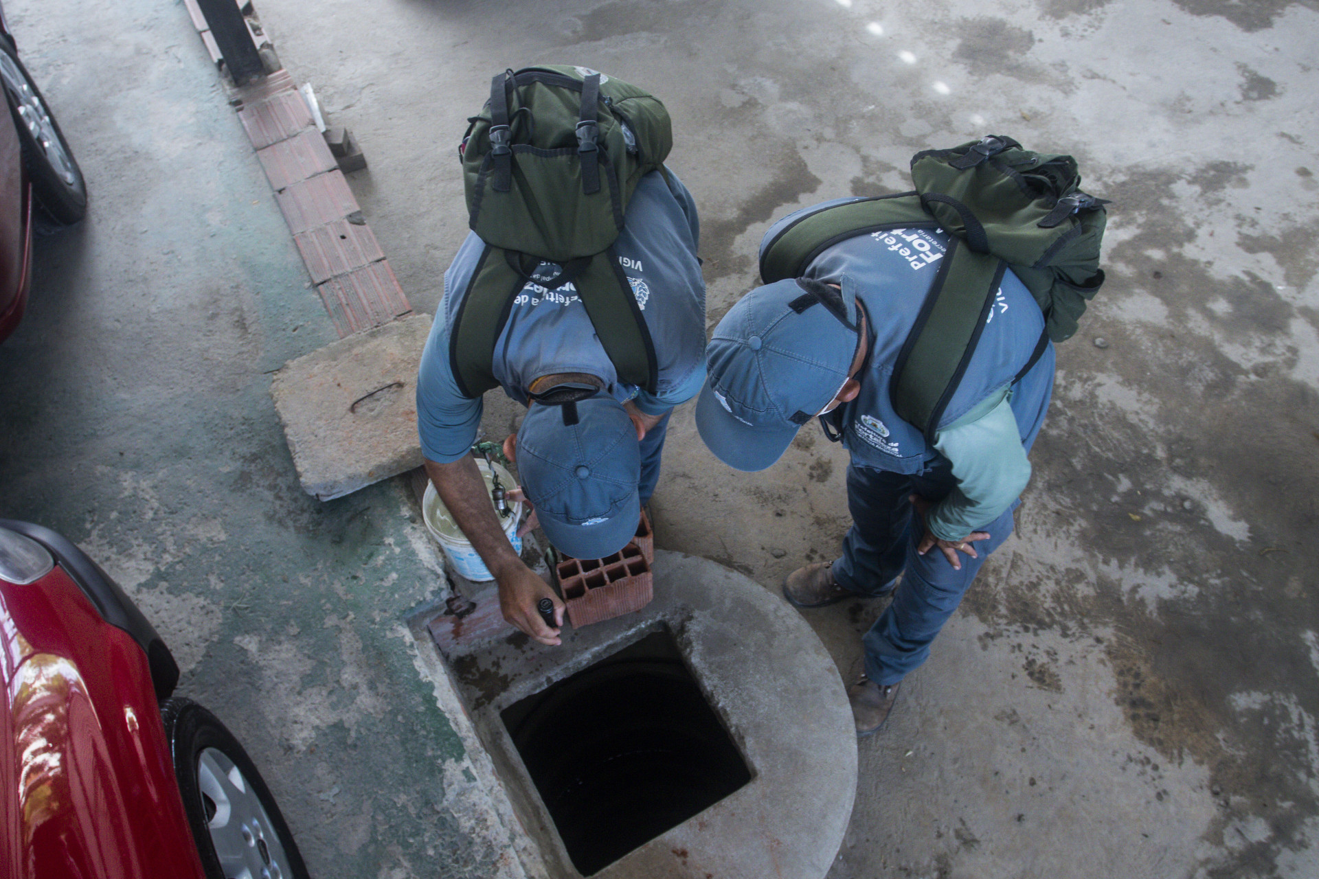 Identifying Aedes aegypti outbreaks is one way to combat the disease (Photo: THAÍS MESQUITA)