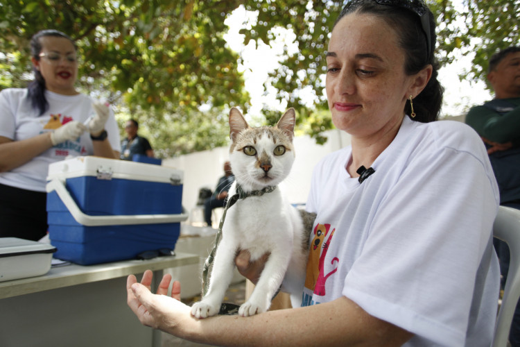 Imagem de apoio ilustrativo: Campanha de vacinação antirrábica teve início no dia 4 de novembro contemplando os animais de estimação a partir de 2 meses de idade