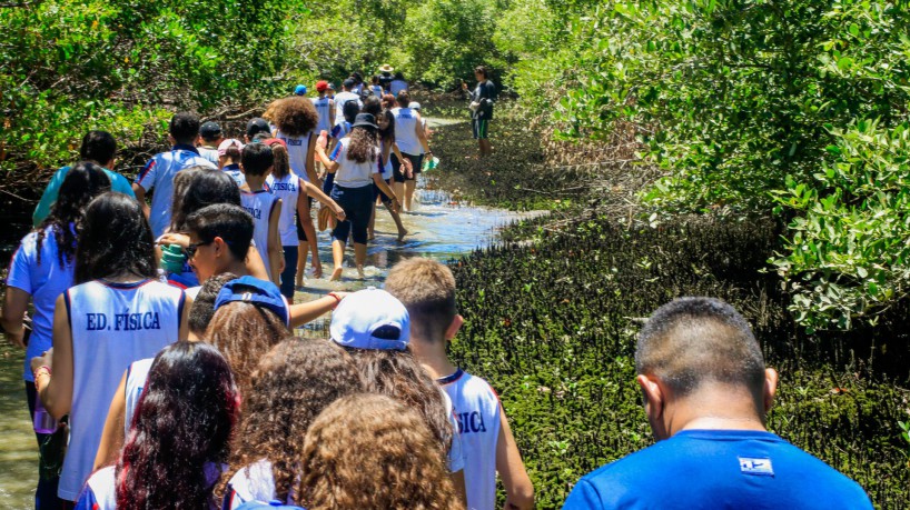 Ecomuseu do Mangue da Sabiaguaba promove aulas de campo 